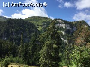 [P29] Cascada Cailor -Frumusetea muntilor nostri » foto by mishu
 - 
<span class="allrVoted glyphicon glyphicon-heart hidden" id="av908740"></span>
<a class="m-l-10 hidden" id="sv908740" onclick="voting_Foto_DelVot(,908740,21579)" role="button">șterge vot <span class="glyphicon glyphicon-remove"></span></a>
<a id="v9908740" class=" c-red"  onclick="voting_Foto_SetVot(908740)" role="button"><span class="glyphicon glyphicon-heart-empty"></span> <b>LIKE</b> = Votează poza</a> <img class="hidden"  id="f908740W9" src="/imagini/loader.gif" border="0" /><span class="AjErrMes hidden" id="e908740ErM"></span>