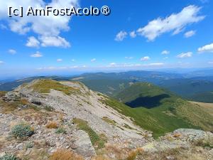 [P11] Pe creastă, 2000 m altitudine. » foto by Radix7
 - 
<span class="allrVoted glyphicon glyphicon-heart hidden" id="av1495126"></span>
<a class="m-l-10 hidden" id="sv1495126" onclick="voting_Foto_DelVot(,1495126,21597)" role="button">șterge vot <span class="glyphicon glyphicon-remove"></span></a>
<a id="v91495126" class=" c-red"  onclick="voting_Foto_SetVot(1495126)" role="button"><span class="glyphicon glyphicon-heart-empty"></span> <b>LIKE</b> = Votează poza</a> <img class="hidden"  id="f1495126W9" src="/imagini/loader.gif" border="0" /><span class="AjErrMes hidden" id="e1495126ErM"></span>