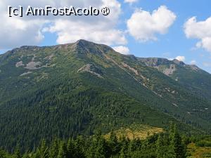 [P04] Din Șaua Negoiu, vârfurile. » foto by Radix7
 - 
<span class="allrVoted glyphicon glyphicon-heart hidden" id="av1495119"></span>
<a class="m-l-10 hidden" id="sv1495119" onclick="voting_Foto_DelVot(,1495119,21597)" role="button">șterge vot <span class="glyphicon glyphicon-remove"></span></a>
<a id="v91495119" class=" c-red"  onclick="voting_Foto_SetVot(1495119)" role="button"><span class="glyphicon glyphicon-heart-empty"></span> <b>LIKE</b> = Votează poza</a> <img class="hidden"  id="f1495119W9" src="/imagini/loader.gif" border="0" /><span class="AjErrMes hidden" id="e1495119ErM"></span>