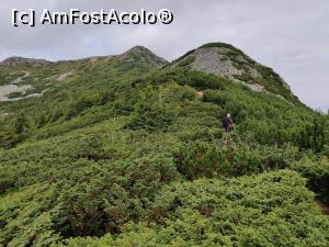 [P29] Vârful Pietrosul Călimanilor(2102m) cel mai înalt vârf vulcanic din M-ții Călimani și Vârful Negoiu Unguresc (2081m) » foto by Dana2008
 - 
<span class="allrVoted glyphicon glyphicon-heart hidden" id="av1180435"></span>
<a class="m-l-10 hidden" id="sv1180435" onclick="voting_Foto_DelVot(,1180435,21597)" role="button">șterge vot <span class="glyphicon glyphicon-remove"></span></a>
<a id="v91180435" class=" c-red"  onclick="voting_Foto_SetVot(1180435)" role="button"><span class="glyphicon glyphicon-heart-empty"></span> <b>LIKE</b> = Votează poza</a> <img class="hidden"  id="f1180435W9" src="/imagini/loader.gif" border="0" /><span class="AjErrMes hidden" id="e1180435ErM"></span>