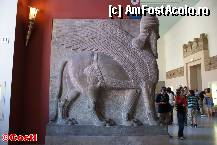 [P81] Shedulamassu, leul înaripat cu cap de om, ce împodobea anumite camere din Palatul asirian » foto by Costi
 - 
<span class="allrVoted glyphicon glyphicon-heart hidden" id="av310983"></span>
<a class="m-l-10 hidden" id="sv310983" onclick="voting_Foto_DelVot(,310983,21770)" role="button">șterge vot <span class="glyphicon glyphicon-remove"></span></a>
<a id="v9310983" class=" c-red"  onclick="voting_Foto_SetVot(310983)" role="button"><span class="glyphicon glyphicon-heart-empty"></span> <b>LIKE</b> = Votează poza</a> <img class="hidden"  id="f310983W9" src="/imagini/loader.gif" border="0" /><span class="AjErrMes hidden" id="e310983ErM"></span>