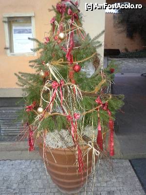 [P01] Pomisorul din stanga intrarii la Lvi Dvur » foto by Pragheza_Gotica
 - 
<span class="allrVoted glyphicon glyphicon-heart hidden" id="av487787"></span>
<a class="m-l-10 hidden" id="sv487787" onclick="voting_Foto_DelVot(,487787,21775)" role="button">șterge vot <span class="glyphicon glyphicon-remove"></span></a>
<a id="v9487787" class=" c-red"  onclick="voting_Foto_SetVot(487787)" role="button"><span class="glyphicon glyphicon-heart-empty"></span> <b>LIKE</b> = Votează poza</a> <img class="hidden"  id="f487787W9" src="/imagini/loader.gif" border="0" /><span class="AjErrMes hidden" id="e487787ErM"></span>