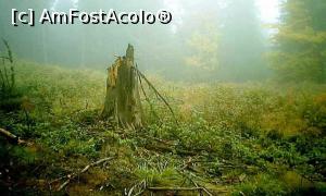 [P10] Atmosferă bacoviană la est de Lacul Dracului (culmea dinspre craterul Ostoroș)  » foto by Lucien
 - 
<span class="allrVoted glyphicon glyphicon-heart hidden" id="av849744"></span>
<a class="m-l-10 hidden" id="sv849744" onclick="voting_Foto_DelVot(,849744,21826)" role="button">șterge vot <span class="glyphicon glyphicon-remove"></span></a>
<a id="v9849744" class=" c-red"  onclick="voting_Foto_SetVot(849744)" role="button"><span class="glyphicon glyphicon-heart-empty"></span> <b>LIKE</b> = Votează poza</a> <img class="hidden"  id="f849744W9" src="/imagini/loader.gif" border="0" /><span class="AjErrMes hidden" id="e849744ErM"></span>