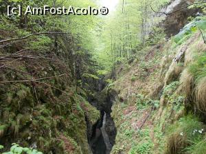 [P08] Cheile Oltețului » foto by ANILU
 - 
<span class="allrVoted glyphicon glyphicon-heart hidden" id="av852007"></span>
<a class="m-l-10 hidden" id="sv852007" onclick="voting_Foto_DelVot(,852007,21862)" role="button">șterge vot <span class="glyphicon glyphicon-remove"></span></a>
<a id="v9852007" class=" c-red"  onclick="voting_Foto_SetVot(852007)" role="button"><span class="glyphicon glyphicon-heart-empty"></span> <b>LIKE</b> = Votează poza</a> <img class="hidden"  id="f852007W9" src="/imagini/loader.gif" border="0" /><span class="AjErrMes hidden" id="e852007ErM"></span>