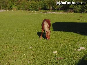 [P100]  -- <small>// FĂRĂ DESCRIERE</small> » foto by DanTal74
 - 
<span class="allrVoted glyphicon glyphicon-heart hidden" id="av627720"></span>
<a class="m-l-10 hidden" id="sv627720" onclick="voting_Foto_DelVot(,627720,21910)" role="button">șterge vot <span class="glyphicon glyphicon-remove"></span></a>
<a id="v9627720" class=" c-red"  onclick="voting_Foto_SetVot(627720)" role="button"><span class="glyphicon glyphicon-heart-empty"></span> <b>LIKE</b> = Votează poza</a> <img class="hidden"  id="f627720W9" src="/imagini/loader.gif" border="0" /><span class="AjErrMes hidden" id="e627720ErM"></span>