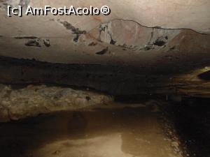 [P111] Capat. De aici se face 'cale intoarsa'.  » foto by DanTal74
 - 
<span class="allrVoted glyphicon glyphicon-heart hidden" id="av745843"></span>
<a class="m-l-10 hidden" id="sv745843" onclick="voting_Foto_DelVot(,745843,21910)" role="button">șterge vot <span class="glyphicon glyphicon-remove"></span></a>
<a id="v9745843" class=" c-red"  onclick="voting_Foto_SetVot(745843)" role="button"><span class="glyphicon glyphicon-heart-empty"></span> <b>LIKE</b> = Votează poza</a> <img class="hidden"  id="f745843W9" src="/imagini/loader.gif" border="0" /><span class="AjErrMes hidden" id="e745843ErM"></span>