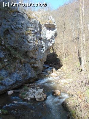 [P117] Paraul Jupaneasa.  » foto by DanTal74
 - 
<span class="allrVoted glyphicon glyphicon-heart hidden" id="av745849"></span>
<a class="m-l-10 hidden" id="sv745849" onclick="voting_Foto_DelVot(,745849,21910)" role="button">șterge vot <span class="glyphicon glyphicon-remove"></span></a>
<a id="v9745849" class=" c-red"  onclick="voting_Foto_SetVot(745849)" role="button"><span class="glyphicon glyphicon-heart-empty"></span> <b>LIKE</b> = Votează poza</a> <img class="hidden"  id="f745849W9" src="/imagini/loader.gif" border="0" /><span class="AjErrMes hidden" id="e745849ErM"></span>