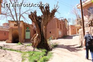 [P40] Abyaneh, aici am mers spre stânga circa 300 m pentru a poza satul, la întoarcere... liniște în sat...  » foto by mprofeanu
 - 
<span class="allrVoted glyphicon glyphicon-heart hidden" id="av857349"></span>
<a class="m-l-10 hidden" id="sv857349" onclick="voting_Foto_DelVot(,857349,21942)" role="button">șterge vot <span class="glyphicon glyphicon-remove"></span></a>
<a id="v9857349" class=" c-red"  onclick="voting_Foto_SetVot(857349)" role="button"><span class="glyphicon glyphicon-heart-empty"></span> <b>LIKE</b> = Votează poza</a> <img class="hidden"  id="f857349W9" src="/imagini/loader.gif" border="0" /><span class="AjErrMes hidden" id="e857349ErM"></span>