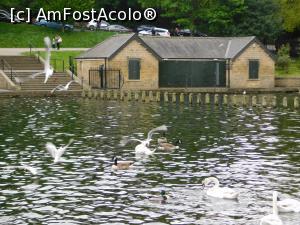 [P29] Roundhay Park » foto by Rox.Patrik
 - 
<span class="allrVoted glyphicon glyphicon-heart hidden" id="av917883"></span>
<a class="m-l-10 hidden" id="sv917883" onclick="voting_Foto_DelVot(,917883,22074)" role="button">șterge vot <span class="glyphicon glyphicon-remove"></span></a>
<a id="v9917883" class=" c-red"  onclick="voting_Foto_SetVot(917883)" role="button"><span class="glyphicon glyphicon-heart-empty"></span> <b>LIKE</b> = Votează poza</a> <img class="hidden"  id="f917883W9" src="/imagini/loader.gif" border="0" /><span class="AjErrMes hidden" id="e917883ErM"></span>