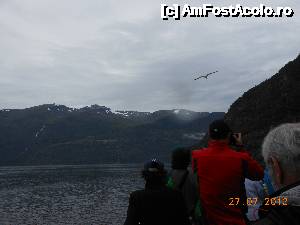 [P39] Geirangerfjord - Păsări şi turişti.  » foto by iulianic
 - 
<span class="allrVoted glyphicon glyphicon-heart hidden" id="av484770"></span>
<a class="m-l-10 hidden" id="sv484770" onclick="voting_Foto_DelVot(,484770,22147)" role="button">șterge vot <span class="glyphicon glyphicon-remove"></span></a>
<a id="v9484770" class=" c-red"  onclick="voting_Foto_SetVot(484770)" role="button"><span class="glyphicon glyphicon-heart-empty"></span> <b>LIKE</b> = Votează poza</a> <img class="hidden"  id="f484770W9" src="/imagini/loader.gif" border="0" /><span class="AjErrMes hidden" id="e484770ErM"></span>