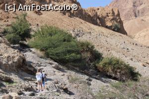 [P40] En Gedi, Shulammit' s Spring, zona verde și în stânga vom ajunge în traseul ce duce la Dudim Cave, sunt turiști mulți acolo » foto by mprofeanu
 - 
<span class="allrVoted glyphicon glyphicon-heart hidden" id="av1147454"></span>
<a class="m-l-10 hidden" id="sv1147454" onclick="voting_Foto_DelVot(,1147454,22150)" role="button">șterge vot <span class="glyphicon glyphicon-remove"></span></a>
<a id="v91147454" class=" c-red"  onclick="voting_Foto_SetVot(1147454)" role="button"><span class="glyphicon glyphicon-heart-empty"></span> <b>LIKE</b> = Votează poza</a> <img class="hidden"  id="f1147454W9" src="/imagini/loader.gif" border="0" /><span class="AjErrMes hidden" id="e1147454ErM"></span>