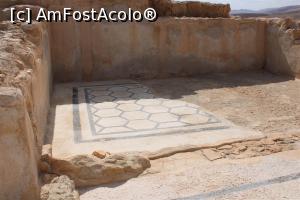 [P35] Masada, Palatul de Nord, Terasa Superioară, Podea de mozaic cu motive populare de artă evreiască din perioada lui Irod » foto by mprofeanu
 - 
<span class="allrVoted glyphicon glyphicon-heart hidden" id="av1146660"></span>
<a class="m-l-10 hidden" id="sv1146660" onclick="voting_Foto_DelVot(,1146660,22151)" role="button">șterge vot <span class="glyphicon glyphicon-remove"></span></a>
<a id="v91146660" class=" c-red"  onclick="voting_Foto_SetVot(1146660)" role="button"><span class="glyphicon glyphicon-heart-empty"></span> <b>LIKE</b> = Votează poza</a> <img class="hidden"  id="f1146660W9" src="/imagini/loader.gif" border="0" /><span class="AjErrMes hidden" id="e1146660ErM"></span>