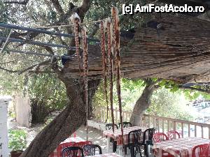 [P09] Caracatita la restaurant in Aliki.  » foto by ichbin
 - 
<span class="allrVoted glyphicon glyphicon-heart hidden" id="av453510"></span>
<a class="m-l-10 hidden" id="sv453510" onclick="voting_Foto_DelVot(,453510,22302)" role="button">șterge vot <span class="glyphicon glyphicon-remove"></span></a>
<a id="v9453510" class=" c-red"  onclick="voting_Foto_SetVot(453510)" role="button"><span class="glyphicon glyphicon-heart-empty"></span> <b>LIKE</b> = Votează poza</a> <img class="hidden"  id="f453510W9" src="/imagini/loader.gif" border="0" /><span class="AjErrMes hidden" id="e453510ErM"></span>