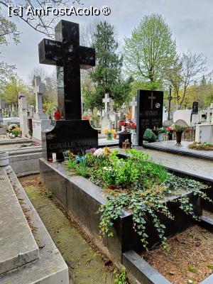 [P08] Corneliu Coposu - loc de veci. » foto by tata123 🔱
 - 
<span class="allrVoted glyphicon glyphicon-heart hidden" id="av1531206"></span>
<a class="m-l-10 hidden" id="sv1531206" onclick="voting_Foto_DelVot(,1531206,22321)" role="button">șterge vot <span class="glyphicon glyphicon-remove"></span></a>
<a id="v91531206" class=" c-red"  onclick="voting_Foto_SetVot(1531206)" role="button"><span class="glyphicon glyphicon-heart-empty"></span> <b>LIKE</b> = Votează poza</a> <img class="hidden"  id="f1531206W9" src="/imagini/loader.gif" border="0" /><span class="AjErrMes hidden" id="e1531206ErM"></span>