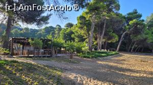 [P12] Barul de pe plaja Banana Mare, Skiathos » foto by vlado2
 - 
<span class="allrVoted glyphicon glyphicon-heart hidden" id="av1523199"></span>
<a class="m-l-10 hidden" id="sv1523199" onclick="voting_Foto_DelVot(,1523199,22413)" role="button">șterge vot <span class="glyphicon glyphicon-remove"></span></a>
<a id="v91523199" class=" c-red"  onclick="voting_Foto_SetVot(1523199)" role="button"><span class="glyphicon glyphicon-heart-empty"></span> <b>LIKE</b> = Votează poza</a> <img class="hidden"  id="f1523199W9" src="/imagini/loader.gif" border="0" /><span class="AjErrMes hidden" id="e1523199ErM"></span>