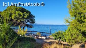 [P08] Plaja Banana Mare, Skiathos » foto by vlado2
 - 
<span class="allrVoted glyphicon glyphicon-heart hidden" id="av1523195"></span>
<a class="m-l-10 hidden" id="sv1523195" onclick="voting_Foto_DelVot(,1523195,22413)" role="button">șterge vot <span class="glyphicon glyphicon-remove"></span></a>
<a id="v91523195" class=" c-red"  onclick="voting_Foto_SetVot(1523195)" role="button"><span class="glyphicon glyphicon-heart-empty"></span> <b>LIKE</b> = Votează poza</a> <img class="hidden"  id="f1523195W9" src="/imagini/loader.gif" border="0" /><span class="AjErrMes hidden" id="e1523195ErM"></span>