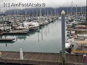 [P34]  -- <small>// FĂRĂ DESCRIERE</small> » foto by robert
 - 
<span class="allrVoted glyphicon glyphicon-heart hidden" id="av1510579"></span>
<a class="m-l-10 hidden" id="sv1510579" onclick="voting_Foto_DelVot(,1510579,22462)" role="button">șterge vot <span class="glyphicon glyphicon-remove"></span></a>
<a id="v91510579" class=" c-red"  onclick="voting_Foto_SetVot(1510579)" role="button"><span class="glyphicon glyphicon-heart-empty"></span> <b>LIKE</b> = Votează poza</a> <img class="hidden"  id="f1510579W9" src="/imagini/loader.gif" border="0" /><span class="AjErrMes hidden" id="e1510579ErM"></span>