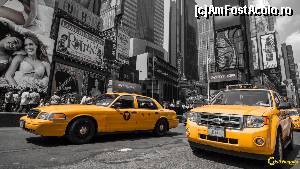 [P16] Taxi in New York » foto by mcnegoita
 - 
<span class="allrVoted glyphicon glyphicon-heart hidden" id="av658572"></span>
<a class="m-l-10 hidden" id="sv658572" onclick="voting_Foto_DelVot(,658572,22539)" role="button">șterge vot <span class="glyphicon glyphicon-remove"></span></a>
<a id="v9658572" class=" c-red"  onclick="voting_Foto_SetVot(658572)" role="button"><span class="glyphicon glyphicon-heart-empty"></span> <b>LIKE</b> = Votează poza</a> <img class="hidden"  id="f658572W9" src="/imagini/loader.gif" border="0" /><span class="AjErrMes hidden" id="e658572ErM"></span>