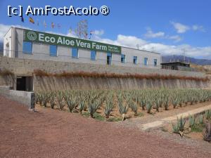 [P01] Finca Canarias Aloe Vera - Güímar. » foto by iulianic
 - 
<span class="allrVoted glyphicon glyphicon-heart hidden" id="av1430186"></span>
<a class="m-l-10 hidden" id="sv1430186" onclick="voting_Foto_DelVot(,1430186,22792)" role="button">șterge vot <span class="glyphicon glyphicon-remove"></span></a>
<a id="v91430186" class=" c-red"  onclick="voting_Foto_SetVot(1430186)" role="button"><span class="glyphicon glyphicon-heart-empty"></span> <b>LIKE</b> = Votează poza</a> <img class="hidden"  id="f1430186W9" src="/imagini/loader.gif" border="0" /><span class="AjErrMes hidden" id="e1430186ErM"></span>