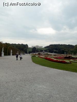 [P27] Schonbrunn Viena » foto by viorelgeorgescu
 - 
<span class="allrVoted glyphicon glyphicon-heart hidden" id="av907523"></span>
<a class="m-l-10 hidden" id="sv907523" onclick="voting_Foto_DelVot(,907523,22816)" role="button">șterge vot <span class="glyphicon glyphicon-remove"></span></a>
<a id="v9907523" class=" c-red"  onclick="voting_Foto_SetVot(907523)" role="button"><span class="glyphicon glyphicon-heart-empty"></span> <b>LIKE</b> = Votează poza</a> <img class="hidden"  id="f907523W9" src="/imagini/loader.gif" border="0" /><span class="AjErrMes hidden" id="e907523ErM"></span>