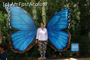 [P71] Foz do Iguaçu, Parque de las Aves, Parcul Păsărilor » foto by mprofeanu
 - 
<span class="allrVoted glyphicon glyphicon-heart hidden" id="av1050221"></span>
<a class="m-l-10 hidden" id="sv1050221" onclick="voting_Foto_DelVot(,1050221,22921)" role="button">șterge vot <span class="glyphicon glyphicon-remove"></span></a>
<a id="v91050221" class=" c-red"  onclick="voting_Foto_SetVot(1050221)" role="button"><span class="glyphicon glyphicon-heart-empty"></span> <b>LIKE</b> = Votează poza</a> <img class="hidden"  id="f1050221W9" src="/imagini/loader.gif" border="0" /><span class="AjErrMes hidden" id="e1050221ErM"></span>