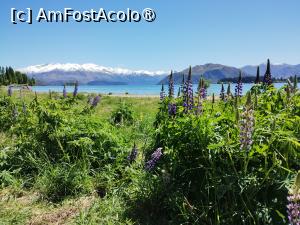 [P27] Wanaka Lake de după flori » foto by Marius 72
 - 
<span class="allrVoted glyphicon glyphicon-heart hidden" id="av1474655"></span>
<a class="m-l-10 hidden" id="sv1474655" onclick="voting_Foto_DelVot(,1474655,22922)" role="button">șterge vot <span class="glyphicon glyphicon-remove"></span></a>
<a id="v91474655" class=" c-red"  onclick="voting_Foto_SetVot(1474655)" role="button"><span class="glyphicon glyphicon-heart-empty"></span> <b>LIKE</b> = Votează poza</a> <img class="hidden"  id="f1474655W9" src="/imagini/loader.gif" border="0" /><span class="AjErrMes hidden" id="e1474655ErM"></span>