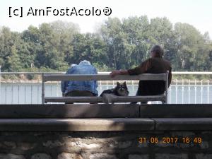 [P08] Când ai stăpâni pensionari, poți veni mereu să spionezi românii de peste apă!  » foto by elviramvio
 - 
<span class="allrVoted glyphicon glyphicon-heart hidden" id="av917638"></span>
<a class="m-l-10 hidden" id="sv917638" onclick="voting_Foto_DelVot(,917638,22950)" role="button">șterge vot <span class="glyphicon glyphicon-remove"></span></a>
<a id="v9917638" class=" c-red"  onclick="voting_Foto_SetVot(917638)" role="button"><span class="glyphicon glyphicon-heart-empty"></span> <b>LIKE</b> = Votează poza</a> <img class="hidden"  id="f917638W9" src="/imagini/loader.gif" border="0" /><span class="AjErrMes hidden" id="e917638ErM"></span>