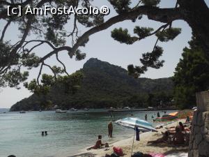 [P12] La umbră, savurând paradisul plajei Formentor » foto by diacrys*
 - 
<span class="allrVoted glyphicon glyphicon-heart hidden" id="av934462"></span>
<a class="m-l-10 hidden" id="sv934462" onclick="voting_Foto_DelVot(,934462,23018)" role="button">șterge vot <span class="glyphicon glyphicon-remove"></span></a>
<a id="v9934462" class=" c-red"  onclick="voting_Foto_SetVot(934462)" role="button"><span class="glyphicon glyphicon-heart-empty"></span> <b>LIKE</b> = Votează poza</a> <img class="hidden"  id="f934462W9" src="/imagini/loader.gif" border="0" /><span class="AjErrMes hidden" id="e934462ErM"></span>