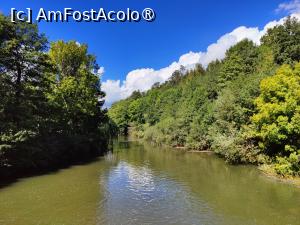 [P48] Mergem spre peștera Postojna » foto by crismis
 - 
<span class="allrVoted glyphicon glyphicon-heart hidden" id="av1529303"></span>
<a class="m-l-10 hidden" id="sv1529303" onclick="voting_Foto_DelVot(,1529303,23209)" role="button">șterge vot <span class="glyphicon glyphicon-remove"></span></a>
<a id="v91529303" class=" c-red"  onclick="voting_Foto_SetVot(1529303)" role="button"><span class="glyphicon glyphicon-heart-empty"></span> <b>LIKE</b> = Votează poza</a> <img class="hidden"  id="f1529303W9" src="/imagini/loader.gif" border="0" /><span class="AjErrMes hidden" id="e1529303ErM"></span>