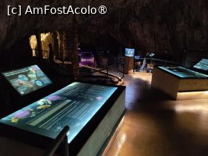 [P66] Peștera Postojna; Vivarium » foto by crismis
 - 
<span class="allrVoted glyphicon glyphicon-heart hidden" id="av1529321"></span>
<a class="m-l-10 hidden" id="sv1529321" onclick="voting_Foto_DelVot(,1529321,23209)" role="button">șterge vot <span class="glyphicon glyphicon-remove"></span></a>
<a id="v91529321" class=" c-red"  onclick="voting_Foto_SetVot(1529321)" role="button"><span class="glyphicon glyphicon-heart-empty"></span> <b>LIKE</b> = Votează poza</a> <img class="hidden"  id="f1529321W9" src="/imagini/loader.gif" border="0" /><span class="AjErrMes hidden" id="e1529321ErM"></span>