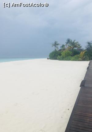 [P06] Dhigufaru Island Resort » foto by Adeenah
 - 
<span class="allrVoted glyphicon glyphicon-heart hidden" id="av929191"></span>
<a class="m-l-10 hidden" id="sv929191" onclick="voting_Foto_DelVot(,929191,23220)" role="button">șterge vot <span class="glyphicon glyphicon-remove"></span></a>
<a id="v9929191" class=" c-red"  onclick="voting_Foto_SetVot(929191)" role="button"><span class="glyphicon glyphicon-heart-empty"></span> <b>LIKE</b> = Votează poza</a> <img class="hidden"  id="f929191W9" src="/imagini/loader.gif" border="0" /><span class="AjErrMes hidden" id="e929191ErM"></span>