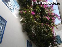 [P04] Sidi Bou Said » foto by ancamariagadea*
 - 
<span class="allrVoted glyphicon glyphicon-heart hidden" id="av35724"></span>
<a class="m-l-10 hidden" id="sv35724" onclick="voting_Foto_DelVot(,35724,23266)" role="button">șterge vot <span class="glyphicon glyphicon-remove"></span></a>
<a id="v935724" class=" c-red"  onclick="voting_Foto_SetVot(35724)" role="button"><span class="glyphicon glyphicon-heart-empty"></span> <b>LIKE</b> = Votează poza</a> <img class="hidden"  id="f35724W9" src="/imagini/loader.gif" border="0" /><span class="AjErrMes hidden" id="e35724ErM"></span>