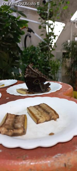 P12 [DEC-2022] Dubai Butterfly Garden