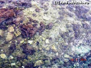 [P13] apa cristalina!  » foto by melena
 - 
<span class="allrVoted glyphicon glyphicon-heart hidden" id="av578098"></span>
<a class="m-l-10 hidden" id="sv578098" onclick="voting_Foto_DelVot(,578098,23391)" role="button">șterge vot <span class="glyphicon glyphicon-remove"></span></a>
<a id="v9578098" class=" c-red"  onclick="voting_Foto_SetVot(578098)" role="button"><span class="glyphicon glyphicon-heart-empty"></span> <b>LIKE</b> = Votează poza</a> <img class="hidden"  id="f578098W9" src="/imagini/loader.gif" border="0" /><span class="AjErrMes hidden" id="e578098ErM"></span>