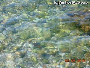 [P02] Plajele din Atena-apa limpede.  » foto by melena
 - 
<span class="allrVoted glyphicon glyphicon-heart hidden" id="av663135"></span>
<a class="m-l-10 hidden" id="sv663135" onclick="voting_Foto_DelVot(,663135,23391)" role="button">șterge vot <span class="glyphicon glyphicon-remove"></span></a>
<a id="v9663135" class=" c-red"  onclick="voting_Foto_SetVot(663135)" role="button"><span class="glyphicon glyphicon-heart-empty"></span> <b>LIKE</b> = Votează poza</a> <img class="hidden"  id="f663135W9" src="/imagini/loader.gif" border="0" /><span class="AjErrMes hidden" id="e663135ErM"></span>