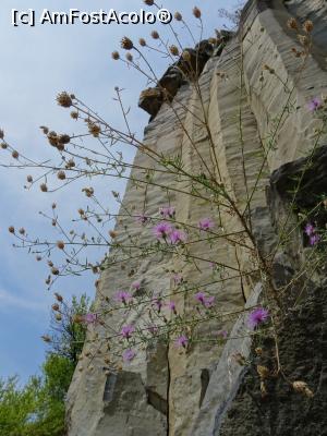 [P11] Coloanele de bazalt. » foto by tata123 🔱
 - 
<span class="allrVoted glyphicon glyphicon-heart hidden" id="av1258679"></span>
<a class="m-l-10 hidden" id="sv1258679" onclick="voting_Foto_DelVot(,1258679,23427)" role="button">șterge vot <span class="glyphicon glyphicon-remove"></span></a>
<a id="v91258679" class=" c-red"  onclick="voting_Foto_SetVot(1258679)" role="button"><span class="glyphicon glyphicon-heart-empty"></span> <b>LIKE</b> = Votează poza</a> <img class="hidden"  id="f1258679W9" src="/imagini/loader.gif" border="0" /><span class="AjErrMes hidden" id="e1258679ErM"></span>