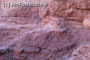 [P25] Red Canyon, Traseul negru, Potecă îngustă, amenajate cu balustrade pentru ajutorarea și siguranța turiștilor, nu aș fi avut altfel curaj să merg pe acolo...  » foto by mprofeanu
 - 
<span class="allrVoted glyphicon glyphicon-heart hidden" id="av1148458"></span>
<a class="m-l-10 hidden" id="sv1148458" onclick="voting_Foto_DelVot(,1148458,23430)" role="button">șterge vot <span class="glyphicon glyphicon-remove"></span></a>
<a id="v91148458" class=" c-red"  onclick="voting_Foto_SetVot(1148458)" role="button"><span class="glyphicon glyphicon-heart-empty"></span> <b>LIKE</b> = Votează poza</a> <img class="hidden"  id="f1148458W9" src="/imagini/loader.gif" border="0" /><span class="AjErrMes hidden" id="e1148458ErM"></span>