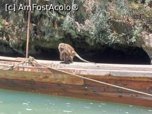 [P07] La Panak Island. Probabil ăsta e ”secund” pe o joncă locală. » foto by Pușcașu Marin
 - 
<span class="allrVoted glyphicon glyphicon-heart hidden" id="av1467930"></span>
<a class="m-l-10 hidden" id="sv1467930" onclick="voting_Foto_DelVot(,1467930,23453)" role="button">șterge vot <span class="glyphicon glyphicon-remove"></span></a>
<a id="v91467930" class=" c-red"  onclick="voting_Foto_SetVot(1467930)" role="button"><span class="glyphicon glyphicon-heart-empty"></span> <b>LIKE</b> = Votează poza</a> <img class="hidden"  id="f1467930W9" src="/imagini/loader.gif" border="0" /><span class="AjErrMes hidden" id="e1467930ErM"></span>