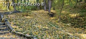 [P47] 47. Scările din parc ce duc spre grupul statuar „La vulturi”. » foto by doinafil
 - 
<span class="allrVoted glyphicon glyphicon-heart hidden" id="av1504285"></span>
<a class="m-l-10 hidden" id="sv1504285" onclick="voting_Foto_DelVot(,1504285,23475)" role="button">șterge vot <span class="glyphicon glyphicon-remove"></span></a>
<a id="v91504285" class=" c-red"  onclick="voting_Foto_SetVot(1504285)" role="button"><span class="glyphicon glyphicon-heart-empty"></span> <b>LIKE</b> = Votează poza</a> <img class="hidden"  id="f1504285W9" src="/imagini/loader.gif" border="0" /><span class="AjErrMes hidden" id="e1504285ErM"></span>