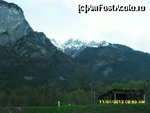 [P27]  -- <small>// FĂRĂ DESCRIERE</small> » foto by adryana
 - 
<span class="allrVoted glyphicon glyphicon-heart hidden" id="av318006"></span>
<a class="m-l-10 hidden" id="sv318006" onclick="voting_Foto_DelVot(,318006,23568)" role="button">șterge vot <span class="glyphicon glyphicon-remove"></span></a>
<a id="v9318006" class=" c-red"  onclick="voting_Foto_SetVot(318006)" role="button"><span class="glyphicon glyphicon-heart-empty"></span> <b>LIKE</b> = Votează poza</a> <img class="hidden"  id="f318006W9" src="/imagini/loader.gif" border="0" /><span class="AjErrMes hidden" id="e318006ErM"></span>