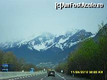 [P34] spre Elvetia, mai departe. » foto by adryana
 - 
<span class="allrVoted glyphicon glyphicon-heart hidden" id="av318013"></span>
<a class="m-l-10 hidden" id="sv318013" onclick="voting_Foto_DelVot(,318013,23568)" role="button">șterge vot <span class="glyphicon glyphicon-remove"></span></a>
<a id="v9318013" class=" c-red"  onclick="voting_Foto_SetVot(318013)" role="button"><span class="glyphicon glyphicon-heart-empty"></span> <b>LIKE</b> = Votează poza</a> <img class="hidden"  id="f318013W9" src="/imagini/loader.gif" border="0" /><span class="AjErrMes hidden" id="e318013ErM"></span>