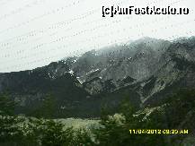 [P38]  -- <small>// FĂRĂ DESCRIERE</small> » foto by adryana
 - 
<span class="allrVoted glyphicon glyphicon-heart hidden" id="av318017"></span>
<a class="m-l-10 hidden" id="sv318017" onclick="voting_Foto_DelVot(,318017,23568)" role="button">șterge vot <span class="glyphicon glyphicon-remove"></span></a>
<a id="v9318017" class=" c-red"  onclick="voting_Foto_SetVot(318017)" role="button"><span class="glyphicon glyphicon-heart-empty"></span> <b>LIKE</b> = Votează poza</a> <img class="hidden"  id="f318017W9" src="/imagini/loader.gif" border="0" /><span class="AjErrMes hidden" id="e318017ErM"></span>