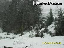 [P73]  -- <small>// FĂRĂ DESCRIERE</small> » foto by adryana
 - 
<span class="allrVoted glyphicon glyphicon-heart hidden" id="av318055"></span>
<a class="m-l-10 hidden" id="sv318055" onclick="voting_Foto_DelVot(,318055,23568)" role="button">șterge vot <span class="glyphicon glyphicon-remove"></span></a>
<a id="v9318055" class=" c-red"  onclick="voting_Foto_SetVot(318055)" role="button"><span class="glyphicon glyphicon-heart-empty"></span> <b>LIKE</b> = Votează poza</a> <img class="hidden"  id="f318055W9" src="/imagini/loader.gif" border="0" /><span class="AjErrMes hidden" id="e318055ErM"></span>