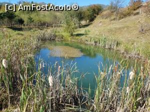 [P17] Pe partea dreaptă a drumului am găsit acest lac frumos. Am făcut acolo un scurt popas, prilej pentru alte câteva poze.  » foto by Floryn81
 - 
<span class="allrVoted glyphicon glyphicon-heart hidden" id="av1018192"></span>
<a class="m-l-10 hidden" id="sv1018192" onclick="voting_Foto_DelVot(,1018192,23619)" role="button">șterge vot <span class="glyphicon glyphicon-remove"></span></a>
<a id="v91018192" class=" c-red"  onclick="voting_Foto_SetVot(1018192)" role="button"><span class="glyphicon glyphicon-heart-empty"></span> <b>LIKE</b> = Votează poza</a> <img class="hidden"  id="f1018192W9" src="/imagini/loader.gif" border="0" /><span class="AjErrMes hidden" id="e1018192ErM"></span>