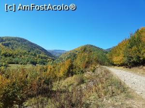 [P19] Privind acum imaginea, vă pot spune că această cascadă se află undeva în valea împădurită din fața noastră. Până acolo mai aveam ceva drum de făcut. » foto by Floryn81
 - 
<span class="allrVoted glyphicon glyphicon-heart hidden" id="av1018197"></span>
<a class="m-l-10 hidden" id="sv1018197" onclick="voting_Foto_DelVot(,1018197,23619)" role="button">șterge vot <span class="glyphicon glyphicon-remove"></span></a>
<a id="v91018197" class=" c-red"  onclick="voting_Foto_SetVot(1018197)" role="button"><span class="glyphicon glyphicon-heart-empty"></span> <b>LIKE</b> = Votează poza</a> <img class="hidden"  id="f1018197W9" src="/imagini/loader.gif" border="0" /><span class="AjErrMes hidden" id="e1018197ErM"></span>