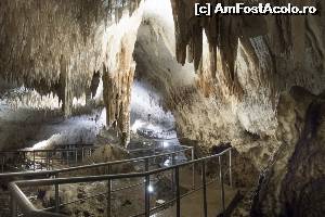 [P10] Peştera lui Rajko este cea mai vizitată de către turişti, fiind şi cea mai bine întreţinută. Imaginea este preluată de pe net!  » foto by Marian Preda
 - 
<span class="allrVoted glyphicon glyphicon-heart hidden" id="av592565"></span>
<a class="m-l-10 hidden" id="sv592565" onclick="voting_Foto_DelVot(,592565,23706)" role="button">șterge vot <span class="glyphicon glyphicon-remove"></span></a>
<a id="v9592565" class=" c-red"  onclick="voting_Foto_SetVot(592565)" role="button"><span class="glyphicon glyphicon-heart-empty"></span> <b>LIKE</b> = Votează poza</a> <img class="hidden"  id="f592565W9" src="/imagini/loader.gif" border="0" /><span class="AjErrMes hidden" id="e592565ErM"></span>