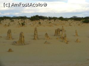 [P06] Western Australia - Parcul Național Nambung - dar seara se instaurează definitiv...  » foto by gigiiuti
 - 
<span class="allrVoted glyphicon glyphicon-heart hidden" id="av969369"></span>
<a class="m-l-10 hidden" id="sv969369" onclick="voting_Foto_DelVot(,969369,23750)" role="button">șterge vot <span class="glyphicon glyphicon-remove"></span></a>
<a id="v9969369" class=" c-red"  onclick="voting_Foto_SetVot(969369)" role="button"><span class="glyphicon glyphicon-heart-empty"></span> <b>LIKE</b> = Votează poza</a> <img class="hidden"  id="f969369W9" src="/imagini/loader.gif" border="0" /><span class="AjErrMes hidden" id="e969369ErM"></span>