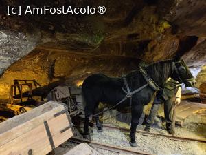 [P14] La pas prin salina Wieliczka » foto by crismis
 - 
<span class="allrVoted glyphicon glyphicon-heart hidden" id="av1478350"></span>
<a class="m-l-10 hidden" id="sv1478350" onclick="voting_Foto_DelVot(,1478350,23877)" role="button">șterge vot <span class="glyphicon glyphicon-remove"></span></a>
<a id="v91478350" class=" c-red"  onclick="voting_Foto_SetVot(1478350)" role="button"><span class="glyphicon glyphicon-heart-empty"></span> <b>LIKE</b> = Votează poza</a> <img class="hidden"  id="f1478350W9" src="/imagini/loader.gif" border="0" /><span class="AjErrMes hidden" id="e1478350ErM"></span>