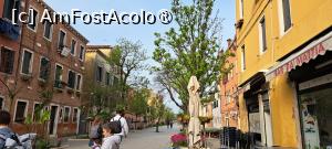 [P02] Strada Rio Terrà dei Penseri, cea pe care se află Il Veliero Romantico » foto by irinad
 - 
<span class="allrVoted glyphicon glyphicon-heart hidden" id="av1475596"></span>
<a class="m-l-10 hidden" id="sv1475596" onclick="voting_Foto_DelVot(,1475596,23911)" role="button">șterge vot <span class="glyphicon glyphicon-remove"></span></a>
<a id="v91475596" class=" c-red"  onclick="voting_Foto_SetVot(1475596)" role="button"><span class="glyphicon glyphicon-heart-empty"></span> <b>LIKE</b> = Votează poza</a> <img class="hidden"  id="f1475596W9" src="/imagini/loader.gif" border="0" /><span class="AjErrMes hidden" id="e1475596ErM"></span>