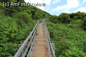 [P37] Insula Terceira, Furnas do Enxofre, platformă deasupra zonei protejate endemice, se văd florile mov ale ierbii negre dar și pădurea de lauri » foto by mprofeanu
 - 
<span class="allrVoted glyphicon glyphicon-heart hidden" id="av995553"></span>
<a class="m-l-10 hidden" id="sv995553" onclick="voting_Foto_DelVot(,995553,23953)" role="button">șterge vot <span class="glyphicon glyphicon-remove"></span></a>
<a id="v9995553" class=" c-red"  onclick="voting_Foto_SetVot(995553)" role="button"><span class="glyphicon glyphicon-heart-empty"></span> <b>LIKE</b> = Votează poza</a> <img class="hidden"  id="f995553W9" src="/imagini/loader.gif" border="0" /><span class="AjErrMes hidden" id="e995553ErM"></span>